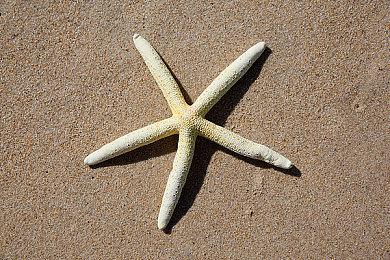 寒冬生存模拟游戏《冬日幸存者》推出试玩版